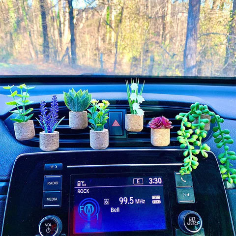 Homezore™ Succulent Air Freshner Vent Clips