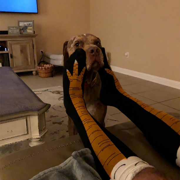 Homezore™ Chicken Leg Socks