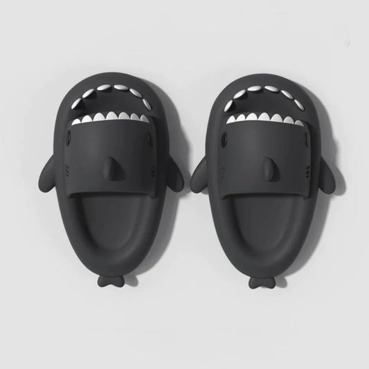 Shark Slides