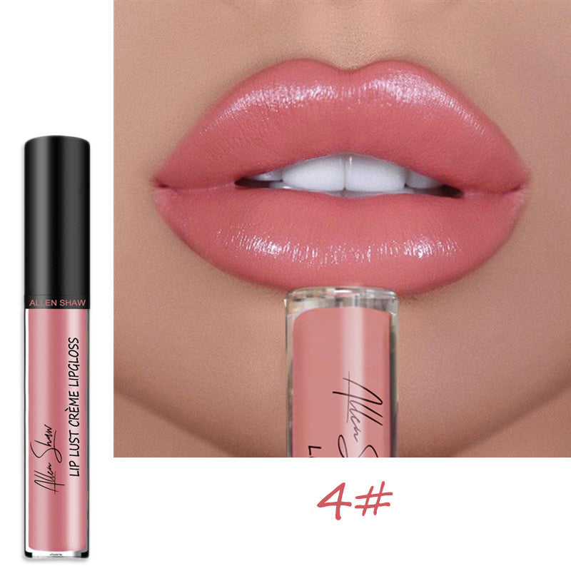 Homezore™ Smudge-Proof Lip Gloss