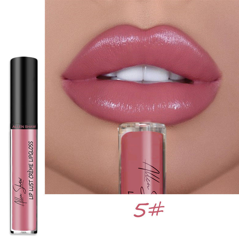 Homezore™ Smudge-Proof Lip Gloss