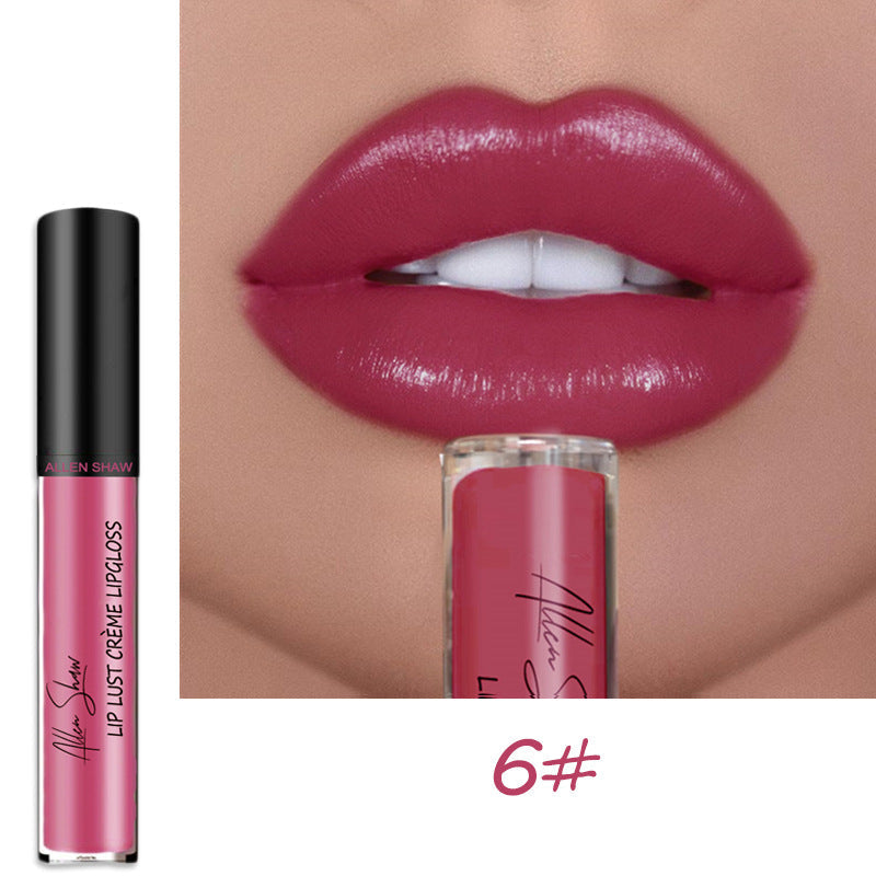 Homezore™ Smudge-Proof Lip Gloss