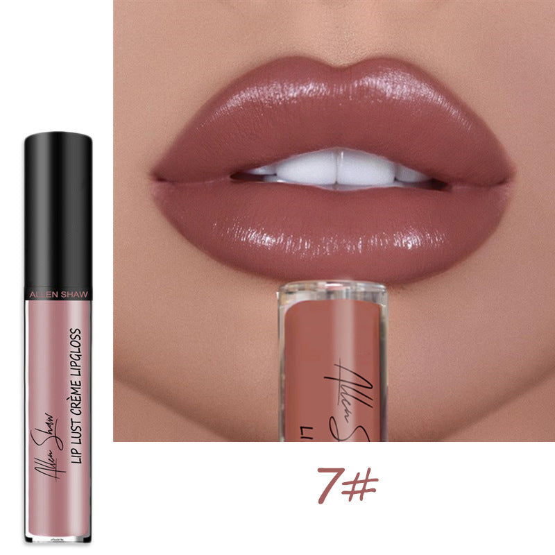 Homezore™ Smudge-Proof Lip Gloss