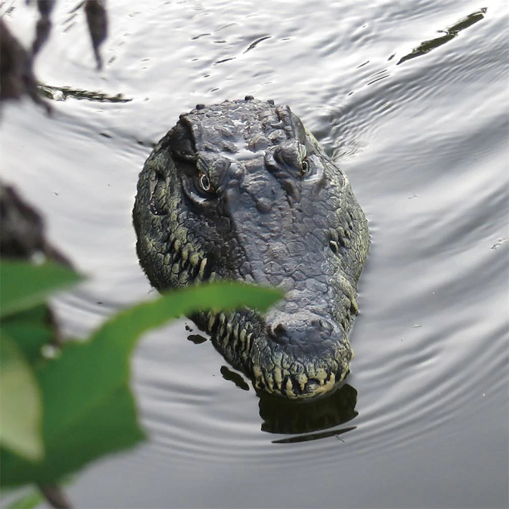 Limited Edition RC Crocodile