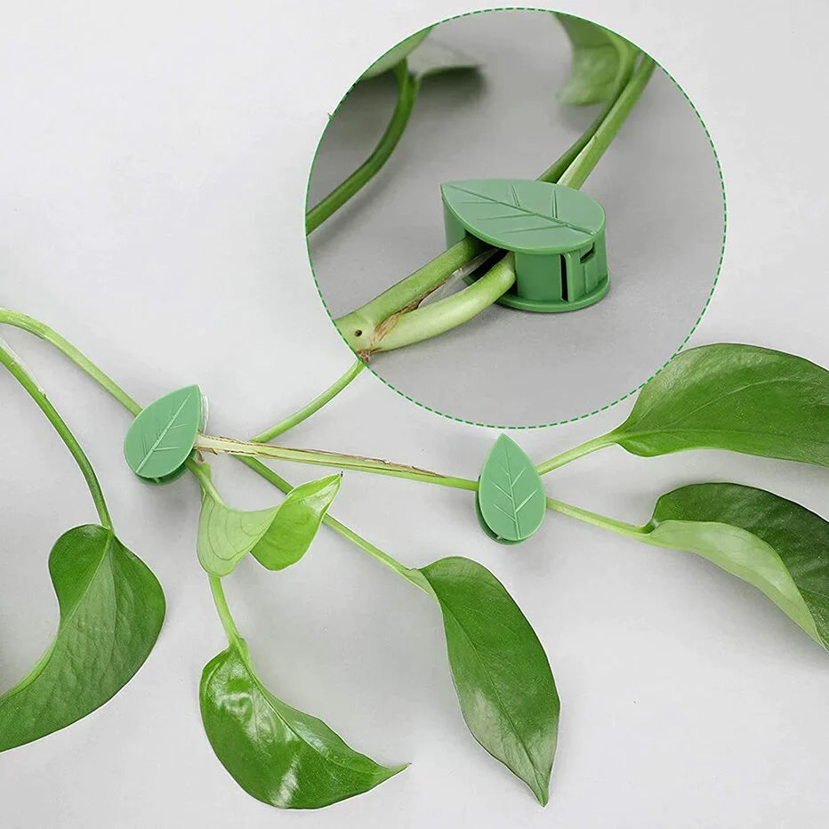 Homezore™ Leaf Shaped Self-Adhesive Hooks