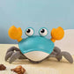 Homezore™ Interactive Crab Toy